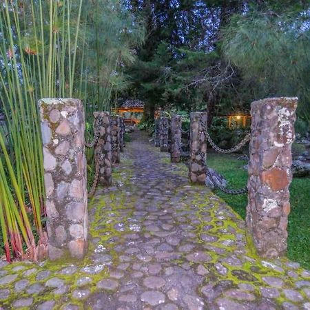 فيلا Finca Punta De Piedra Salento, Quindio المظهر الخارجي الصورة