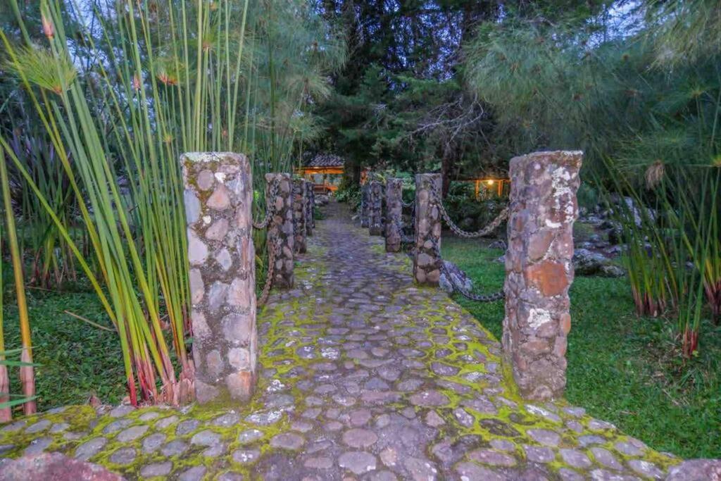 فيلا Finca Punta De Piedra Salento, Quindio المظهر الخارجي الصورة