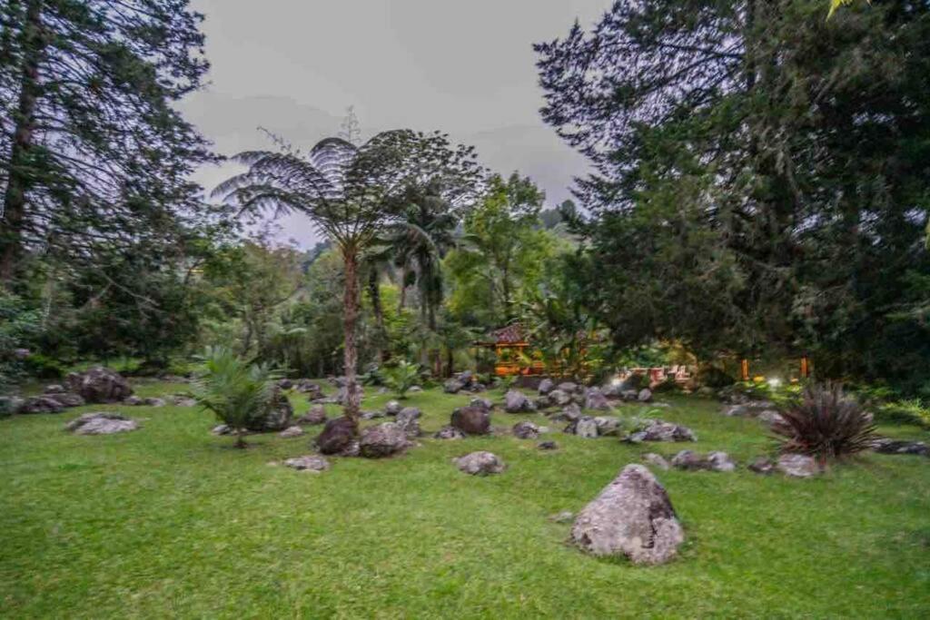 فيلا Finca Punta De Piedra Salento, Quindio المظهر الخارجي الصورة