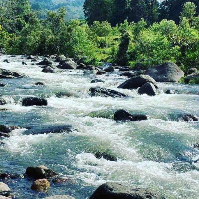 فيلا Finca Punta De Piedra Salento, Quindio المظهر الخارجي الصورة