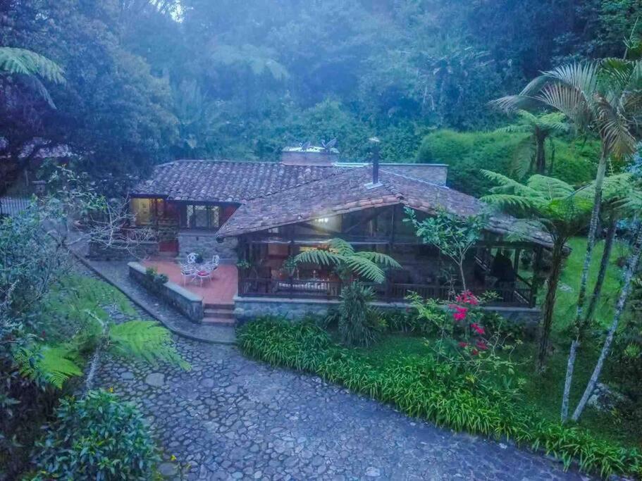 فيلا Finca Punta De Piedra Salento, Quindio المظهر الخارجي الصورة