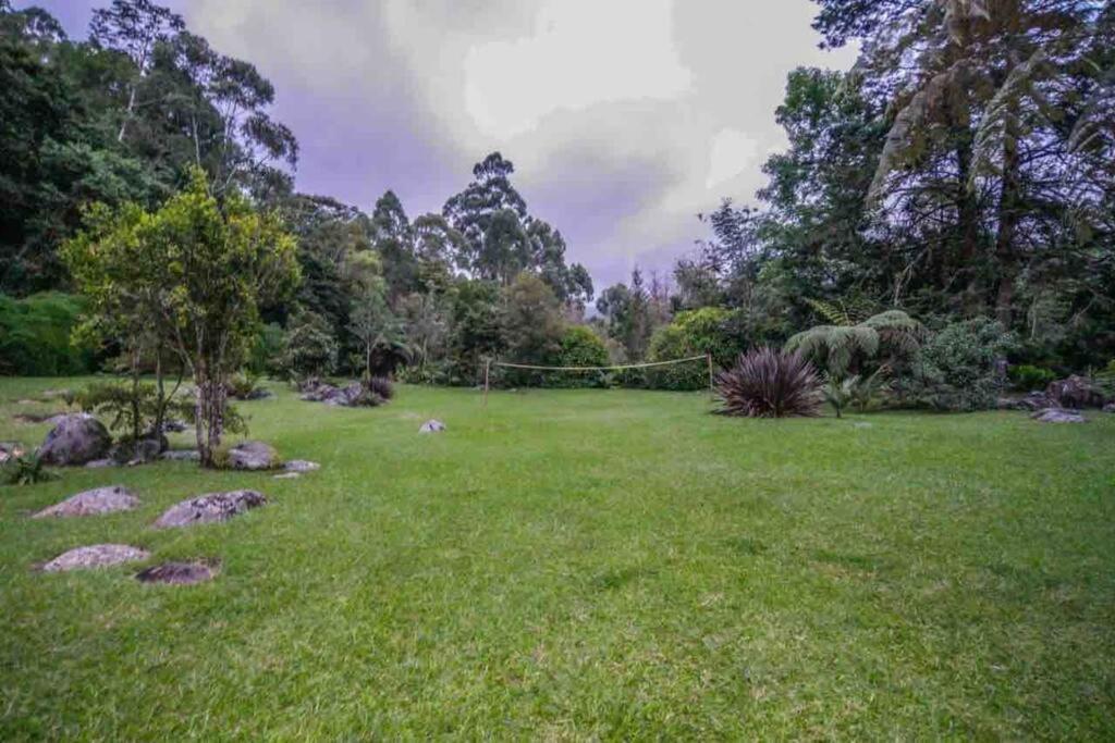 فيلا Finca Punta De Piedra Salento, Quindio المظهر الخارجي الصورة