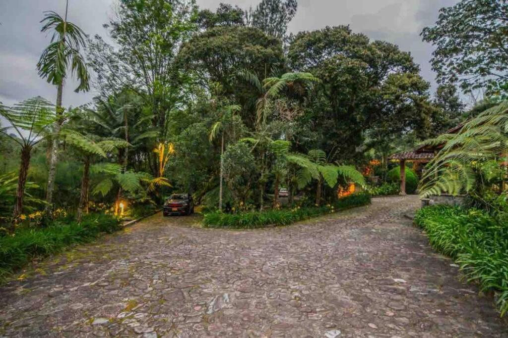 فيلا Finca Punta De Piedra Salento, Quindio المظهر الخارجي الصورة