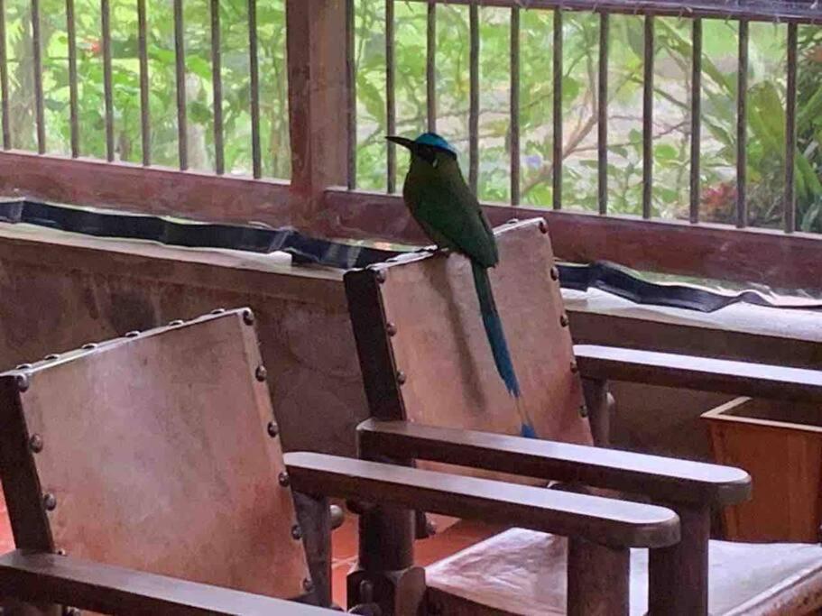 فيلا Finca Punta De Piedra Salento, Quindio المظهر الخارجي الصورة